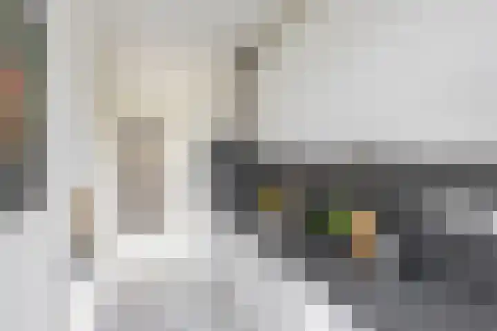 Huygensstraat 16 Groningen thumbnail 20
