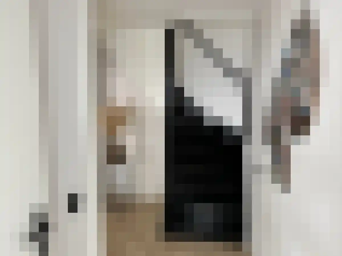 Huygensstraat 16 Kudelstaart thumbnail 6