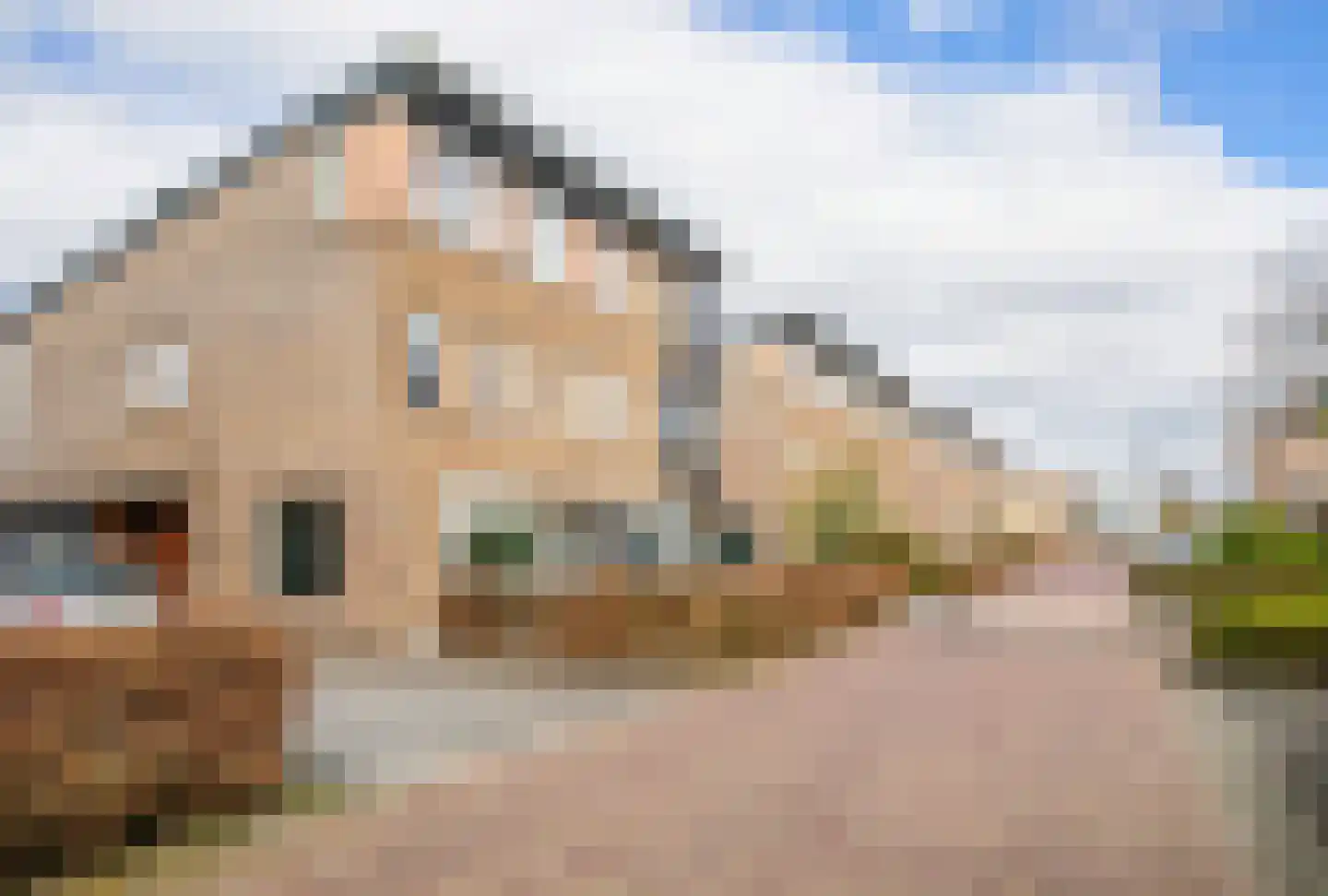Huygensstraat 17 Assen thumbnail 6