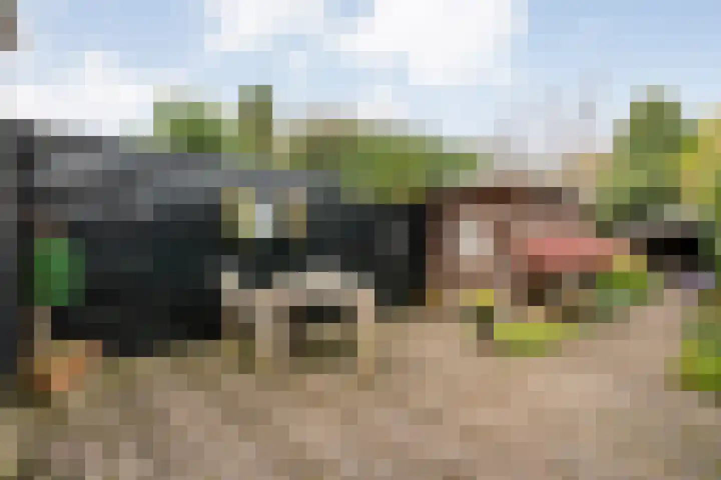 Huygensstraat 17 Zwolle thumbnail 31