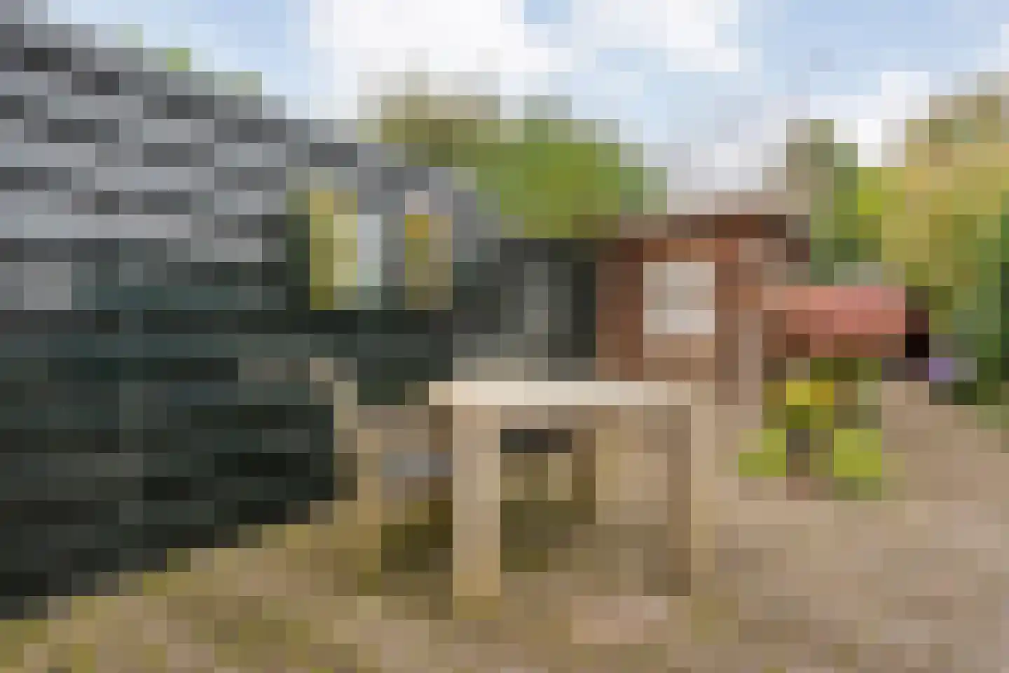 Huygensstraat 17 Zwolle thumbnail 32