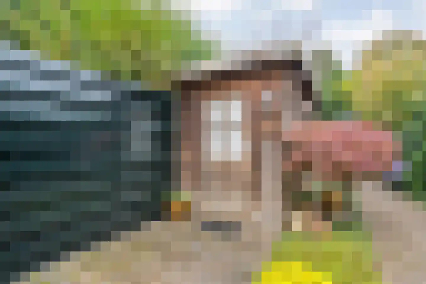 Huygensstraat 17 Zwolle thumbnail 33