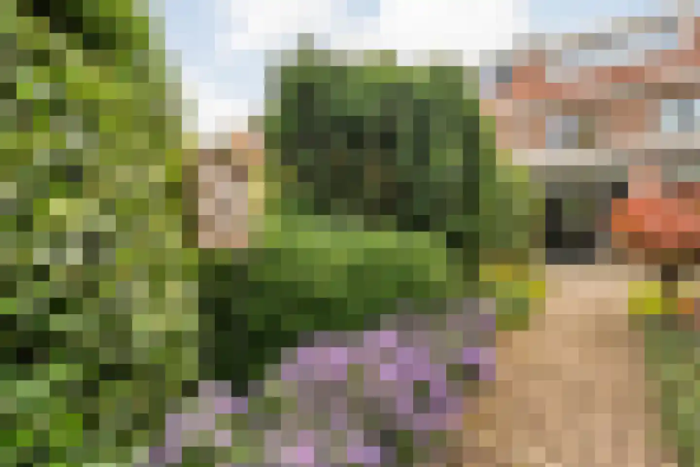 Huygensstraat 17 Zwolle thumbnail 36