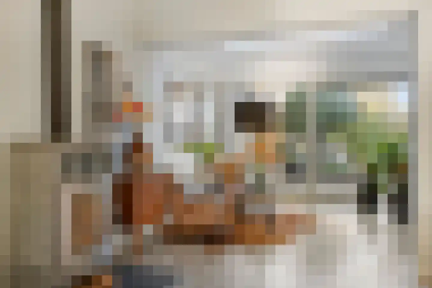 Huygensstraat 20 Goor thumbnail 10