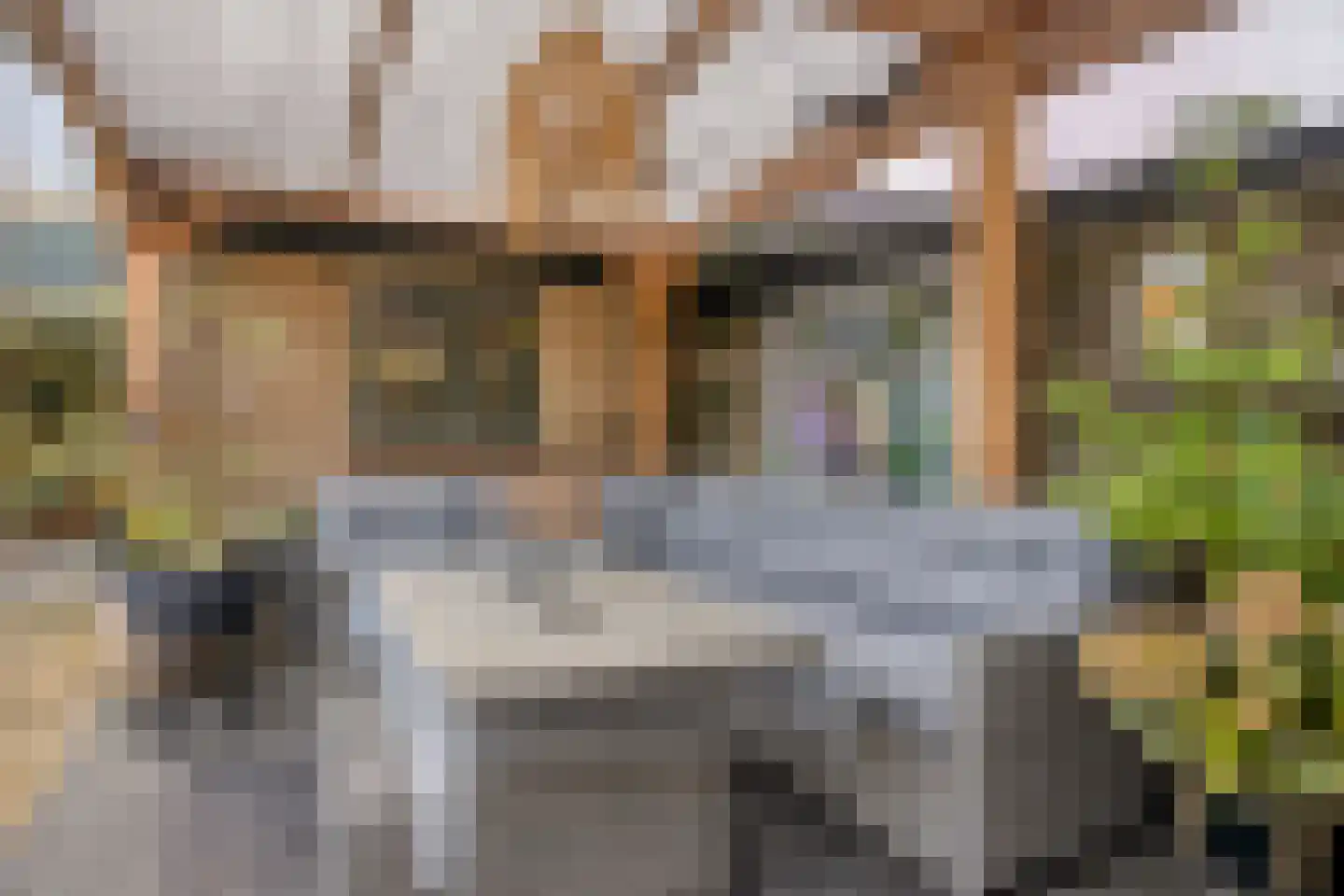 Huygensstraat 20 Goor thumbnail 32