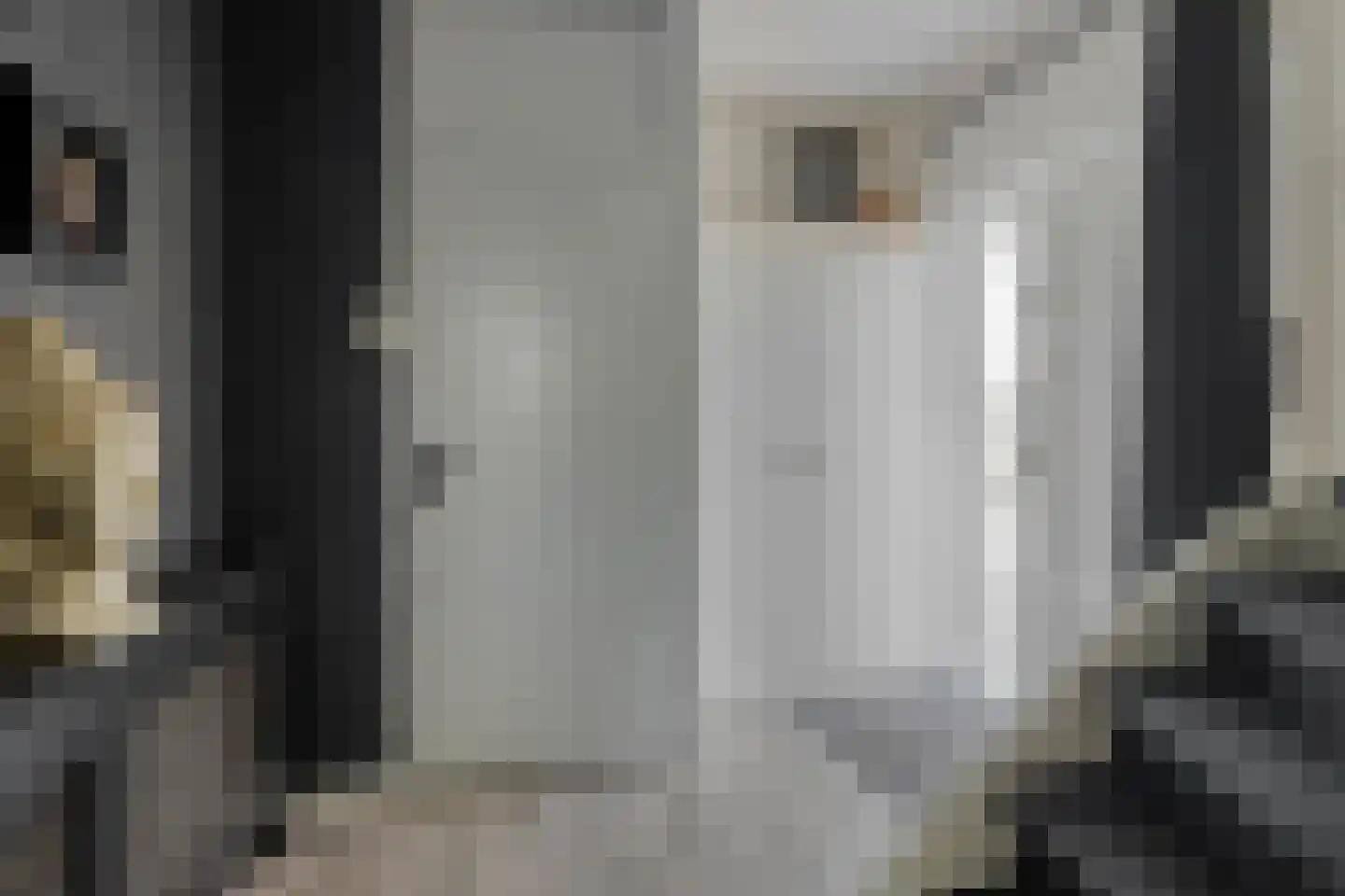 Huygensstraat 20 Goor thumbnail 4
