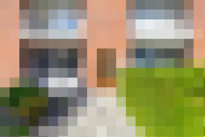 Huygensstraat 23 Groningen thumbnail 9