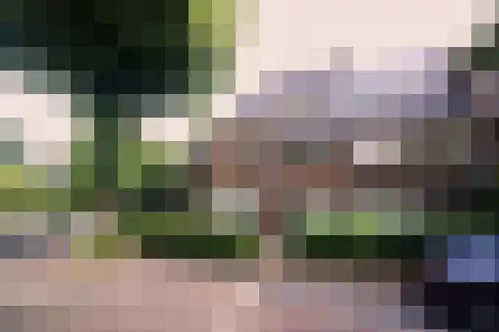 Huygensstraat 27 E Hilversum thumbnail 19
