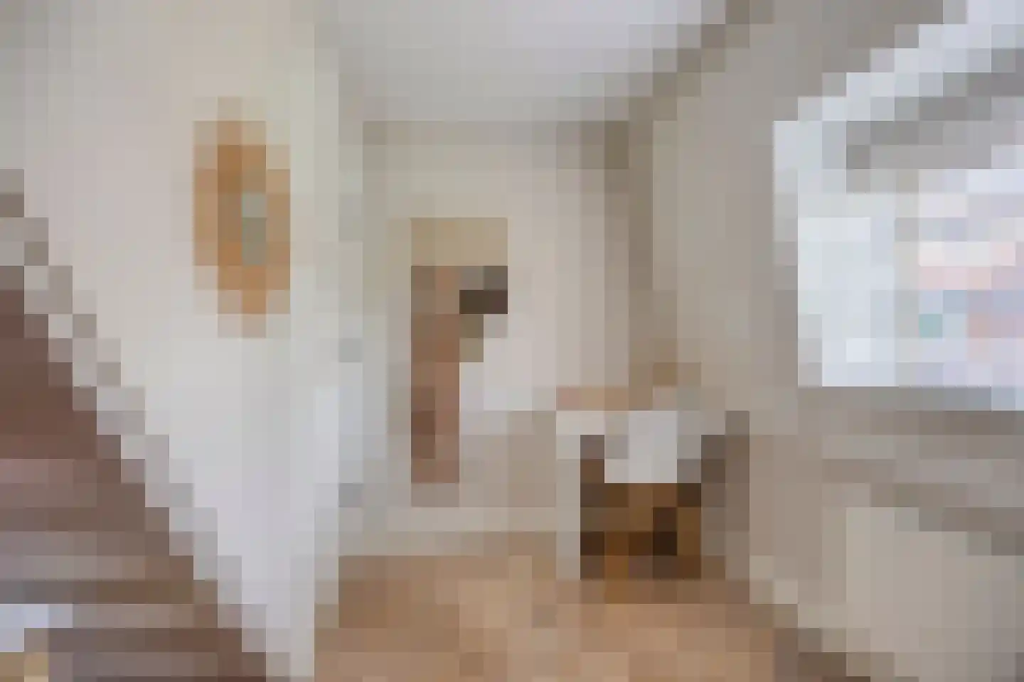 Huygensstraat 29 Zwolle thumbnail 32