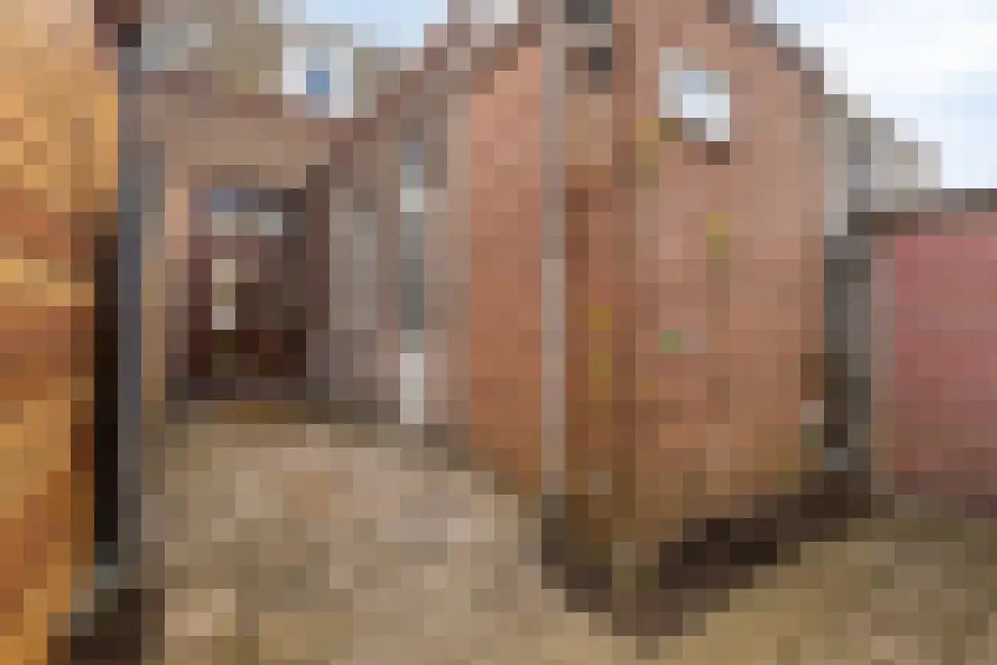 Huygensstraat 3 Dordrecht thumbnail 25