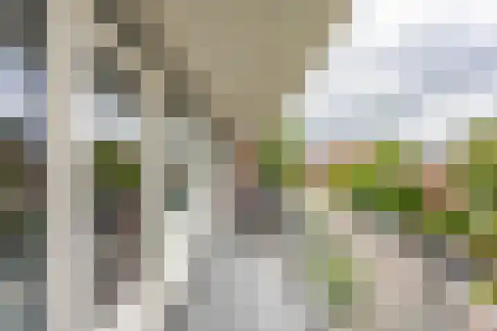 Huygensstraat 34 Groningen thumbnail 30