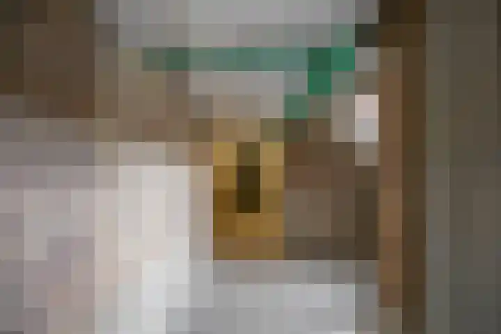 Huygensstraat 34 Groningen thumbnail 31