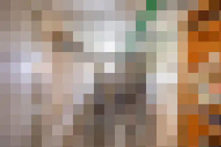 Huygensstraat 34 Groningen thumbnail 32