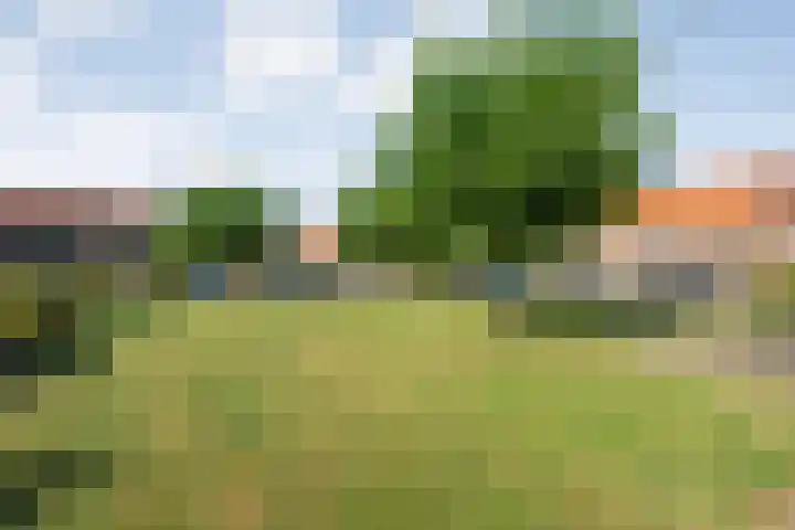 Huygensstraat 36 Zwolle thumbnail 37