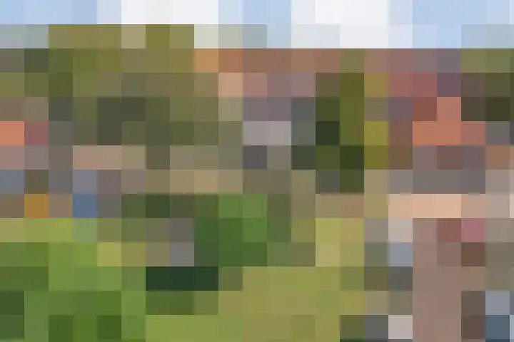 Huygensstraat 36 Zwolle thumbnail 41