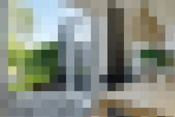 Huygensstraat 37 Assen thumbnail 23