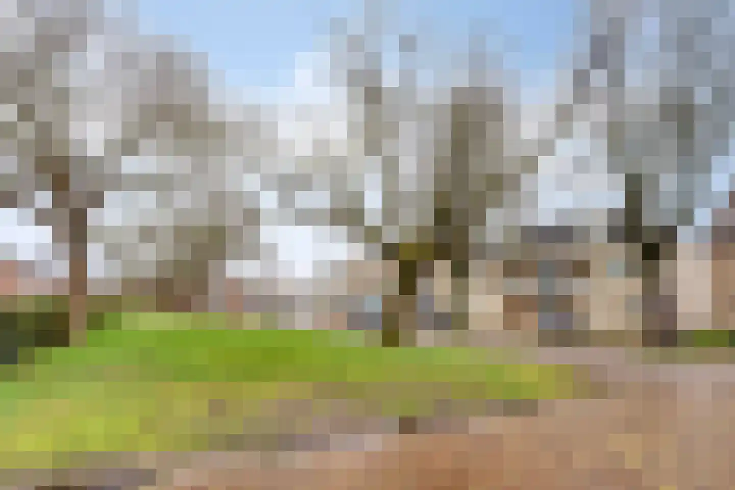Huygensstraat 38 Rosmalen thumbnail 25