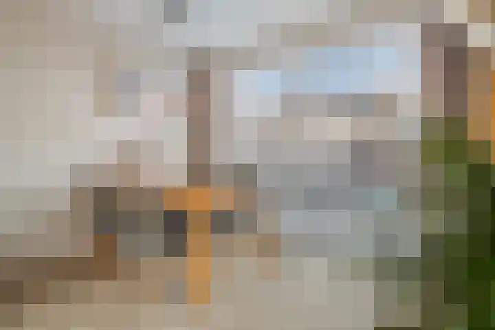 Huygensstraat 4 Hendrik-Ido-Ambacht thumbnail 9