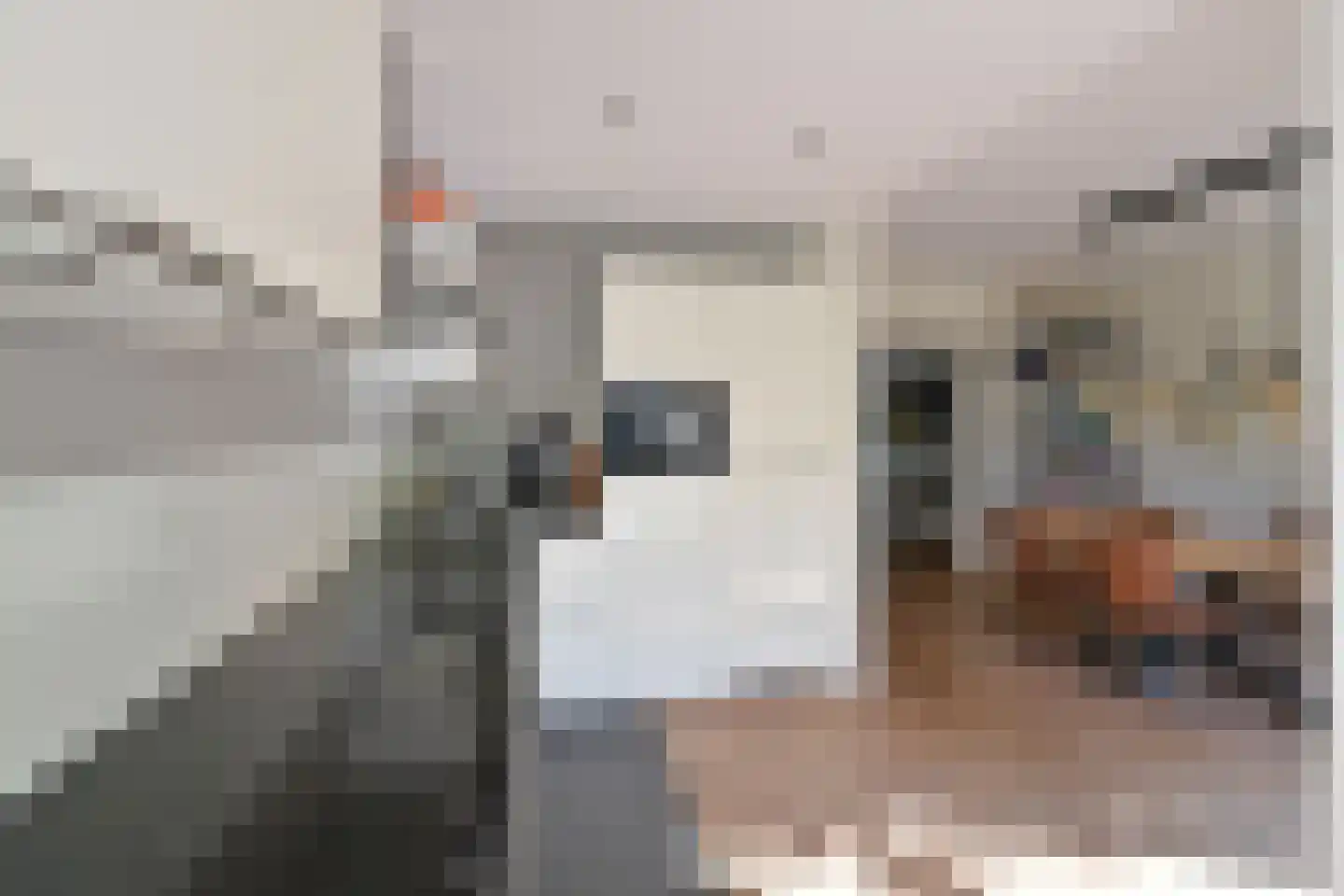 Huygensstraat 6 Hilversum thumbnail 8