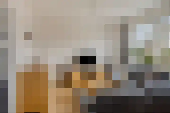 Huygensstraat 61 Aalten thumbnail 5