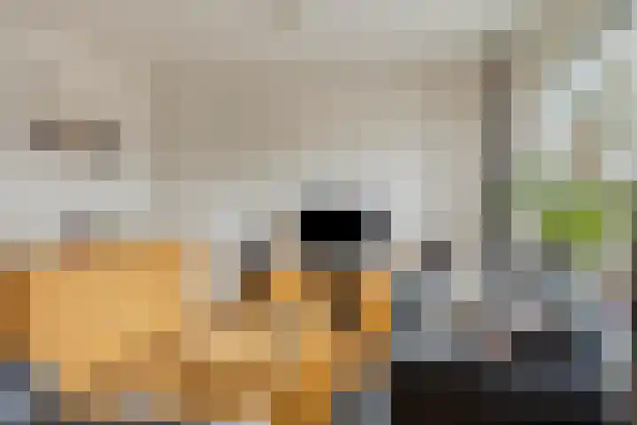 Huygensstraat 61 Aalten thumbnail 6