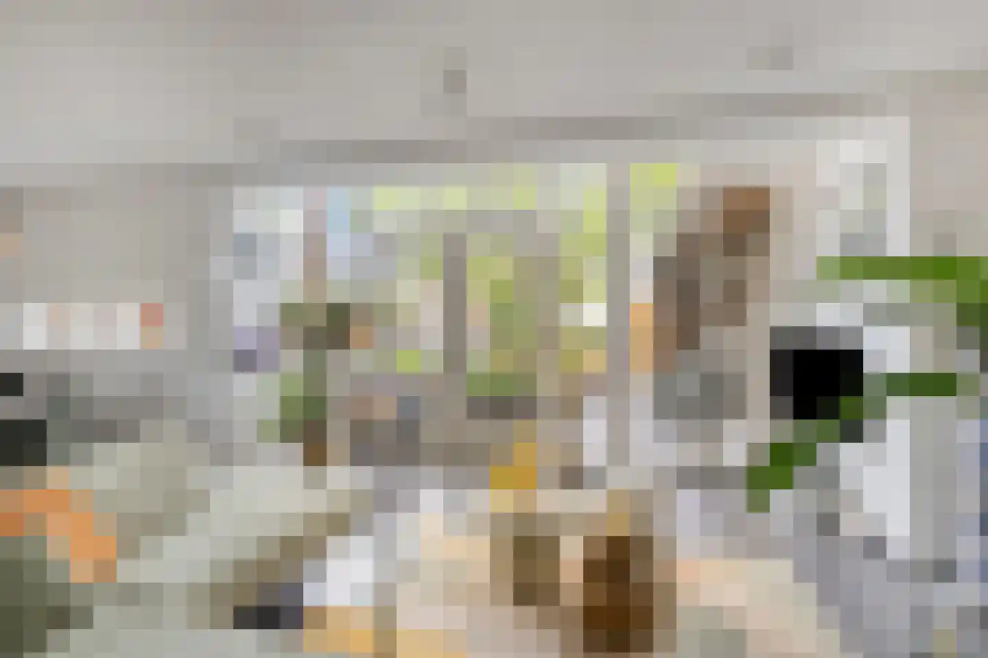 Huygensstraat 65 Boxtel thumbnail 10