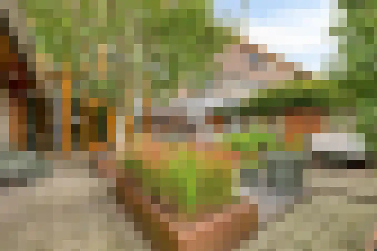 Huygensstraat 65 Boxtel thumbnail 32