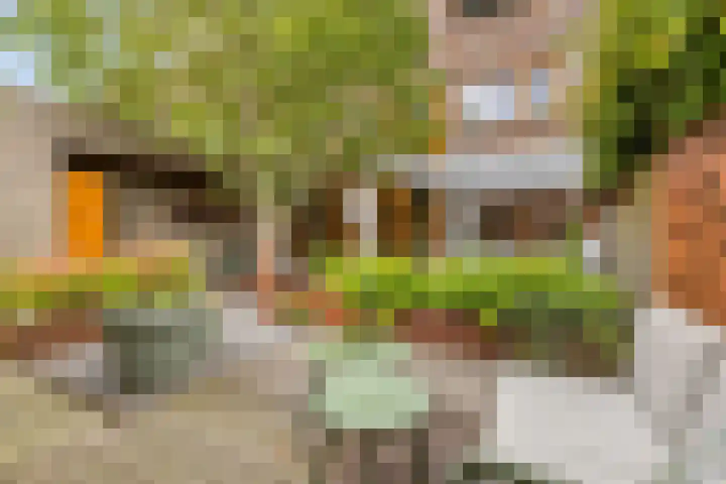 Huygensstraat 65 Boxtel thumbnail 34