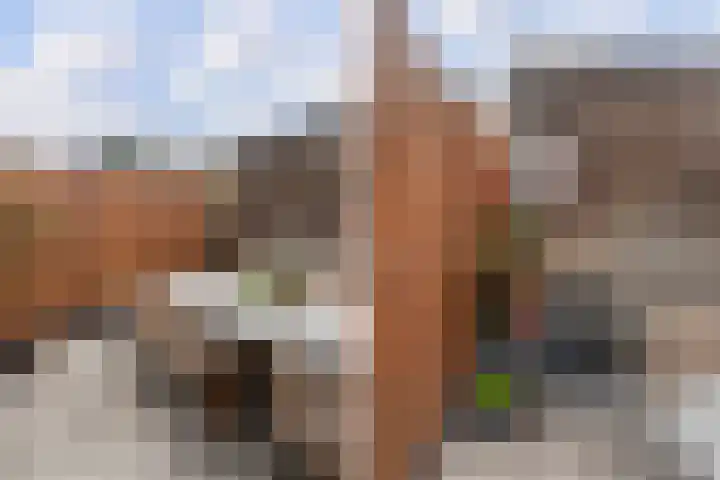 Huygensstraat 7 Dordrecht thumbnail 4