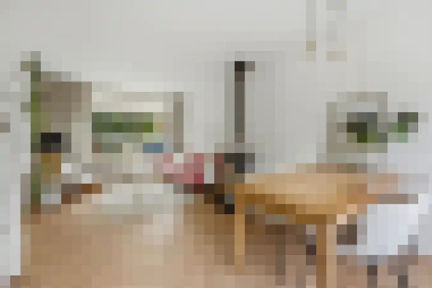 Huygensstraat 8 Hendrik-Ido-Ambacht thumbnail 7
