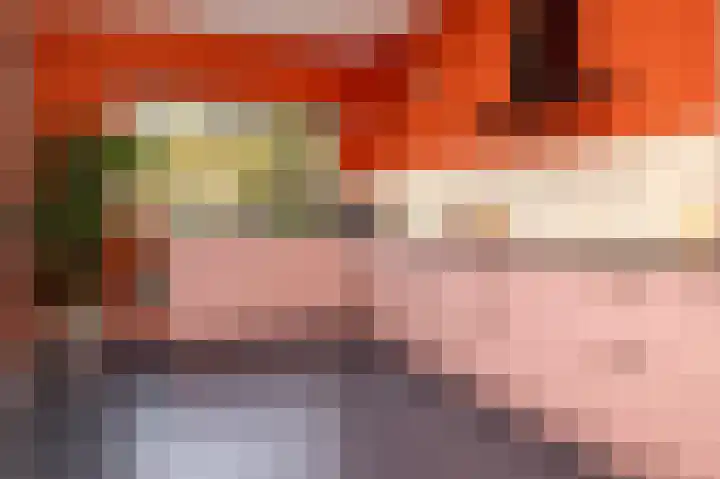 Huygensweg 14 Nijmegen thumbnail 15