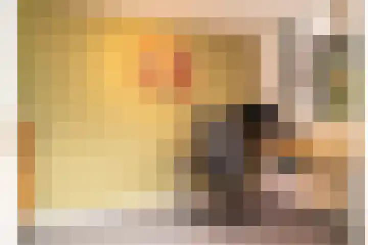 Huygensweg 14 Nijmegen thumbnail 19