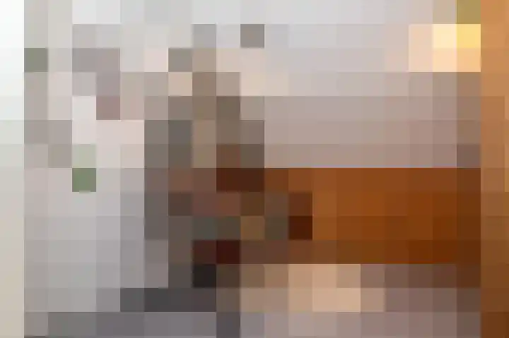 Huygensweg 14 Nijmegen thumbnail 21
