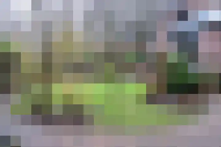 Huygensweg 14 Nijmegen thumbnail 59