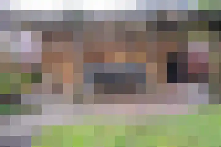 Huygensweg 14 Nijmegen thumbnail 61