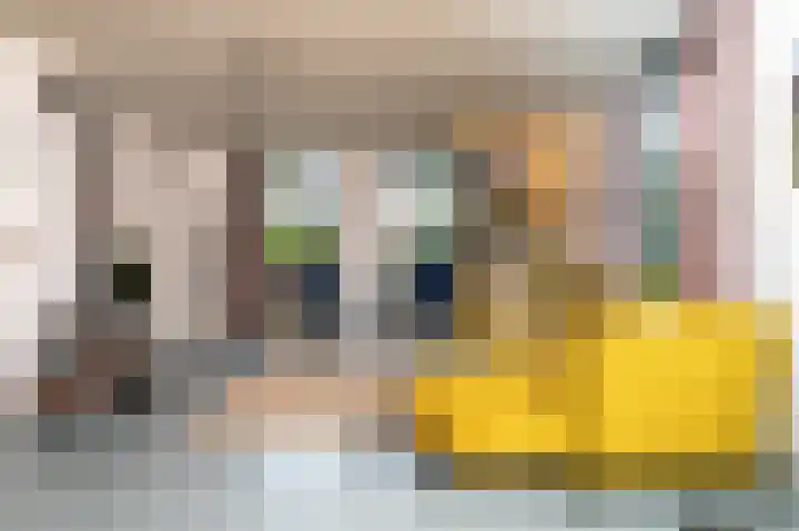 Huygensweg 14 Nijmegen thumbnail 7