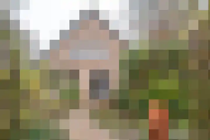 Huygensweg 14 Nijmegen thumbnail 71