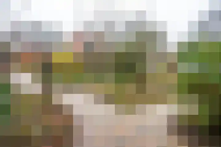 Huygensweg 14 Nijmegen thumbnail 72