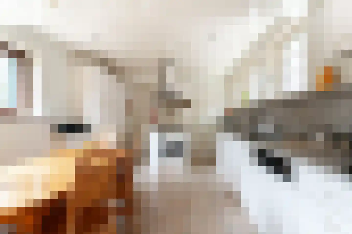 Huygensweg 19 Nijmegen thumbnail 30
