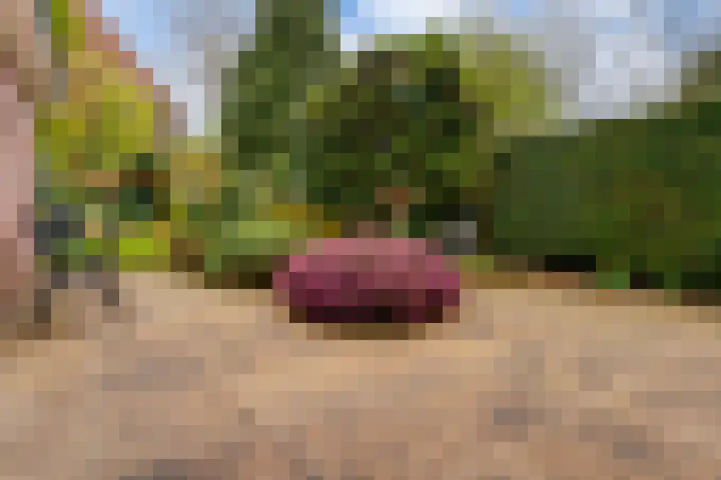 Huygensweg 19 Nijmegen thumbnail 60