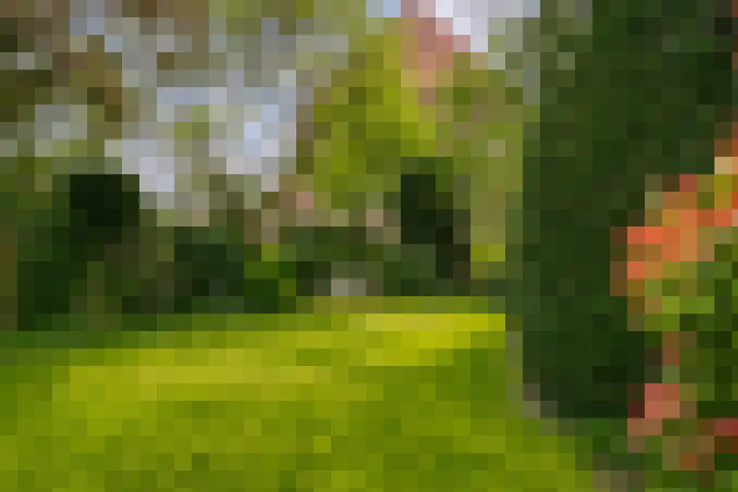 Huygensweg 19 Nijmegen thumbnail 63
