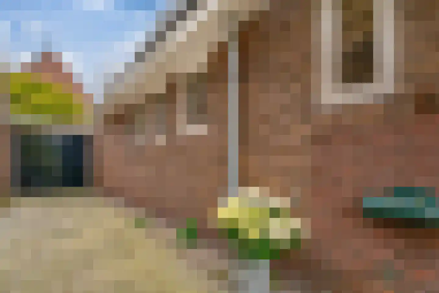 Huygensweg 19 Nijmegen thumbnail 66