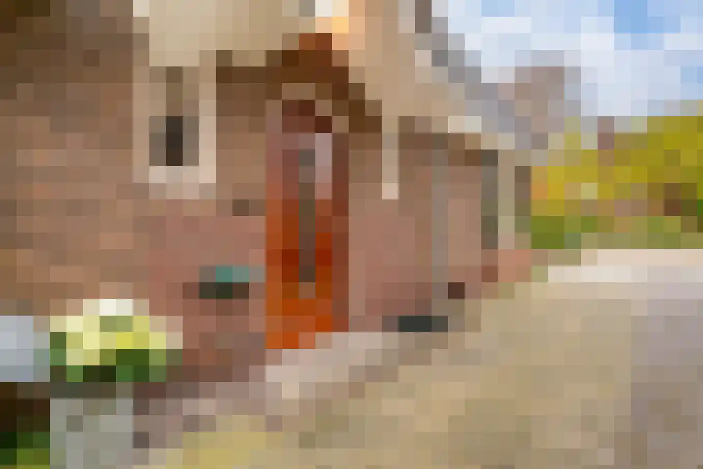 Huygensweg 19 Nijmegen thumbnail 67