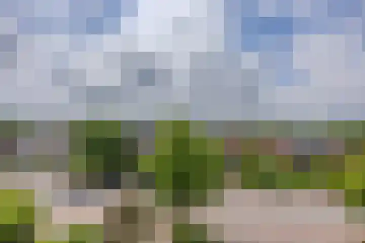 Huygensweg 40 Nijmegen thumbnail 24