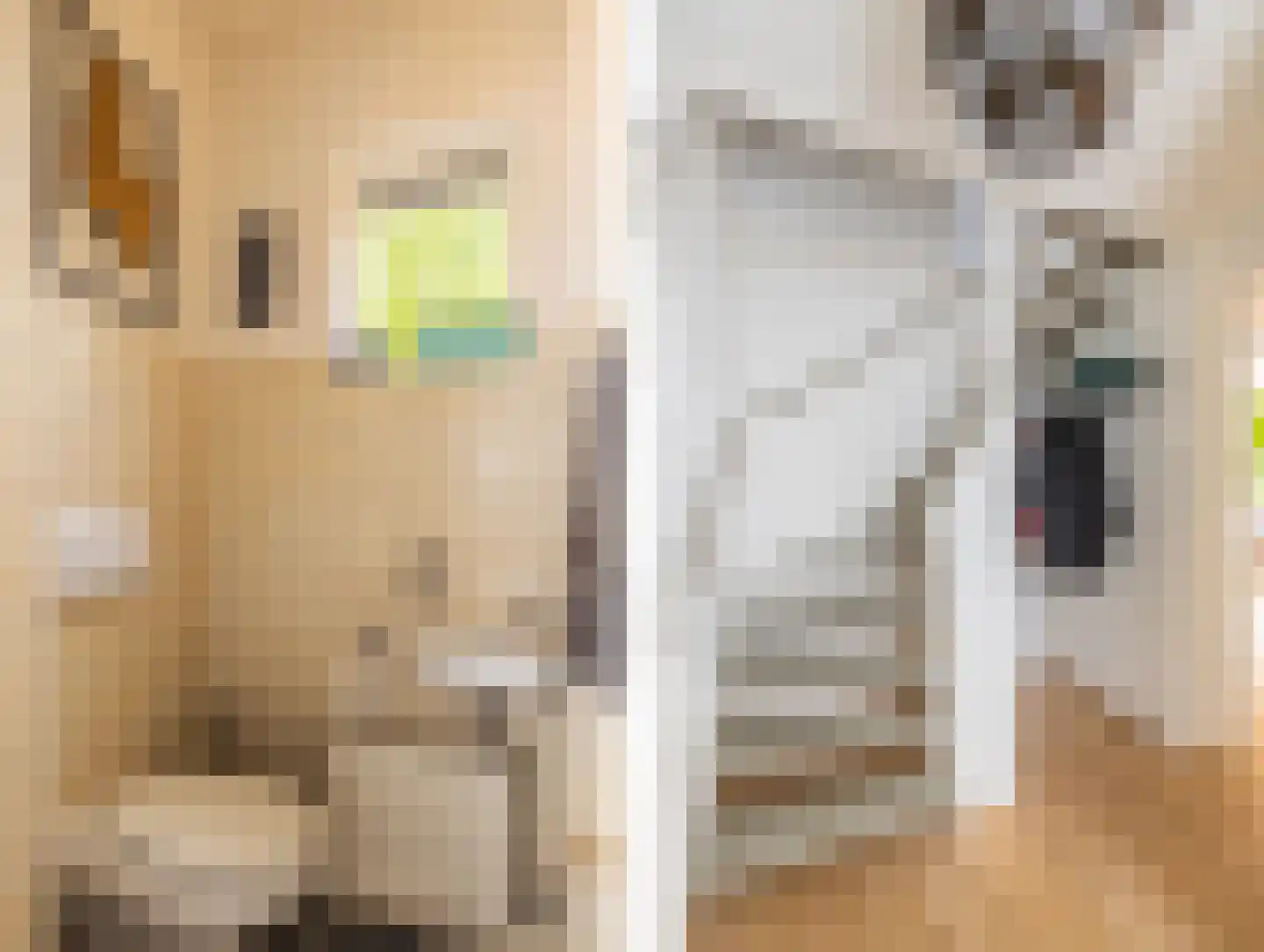 Huygenswende 10 Hillegom thumbnail 30