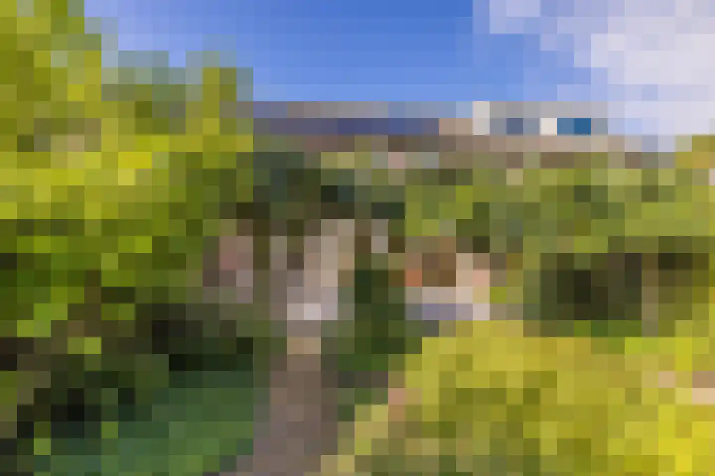 Huygenswende 10 Hillegom thumbnail 43