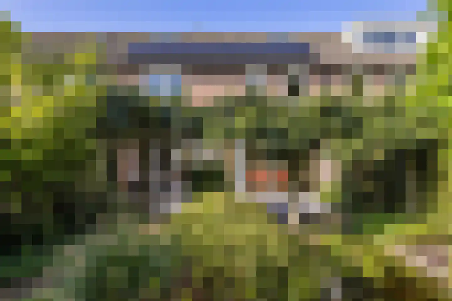 Huygenswende 10 Hillegom thumbnail 44