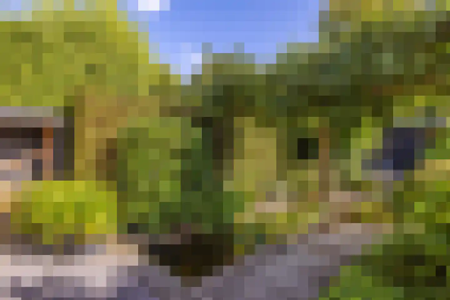 Huygenswende 10 Hillegom thumbnail 48