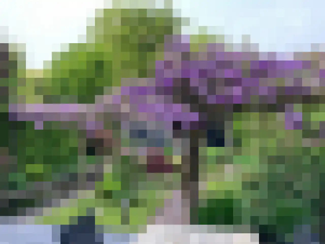 Huygenswende 10 Hillegom thumbnail 49