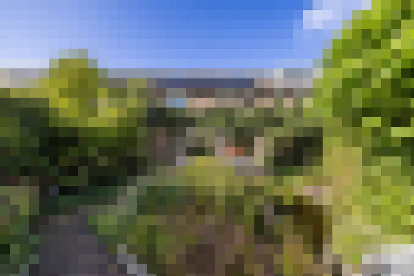 Huygenswende 10 Hillegom thumbnail 5